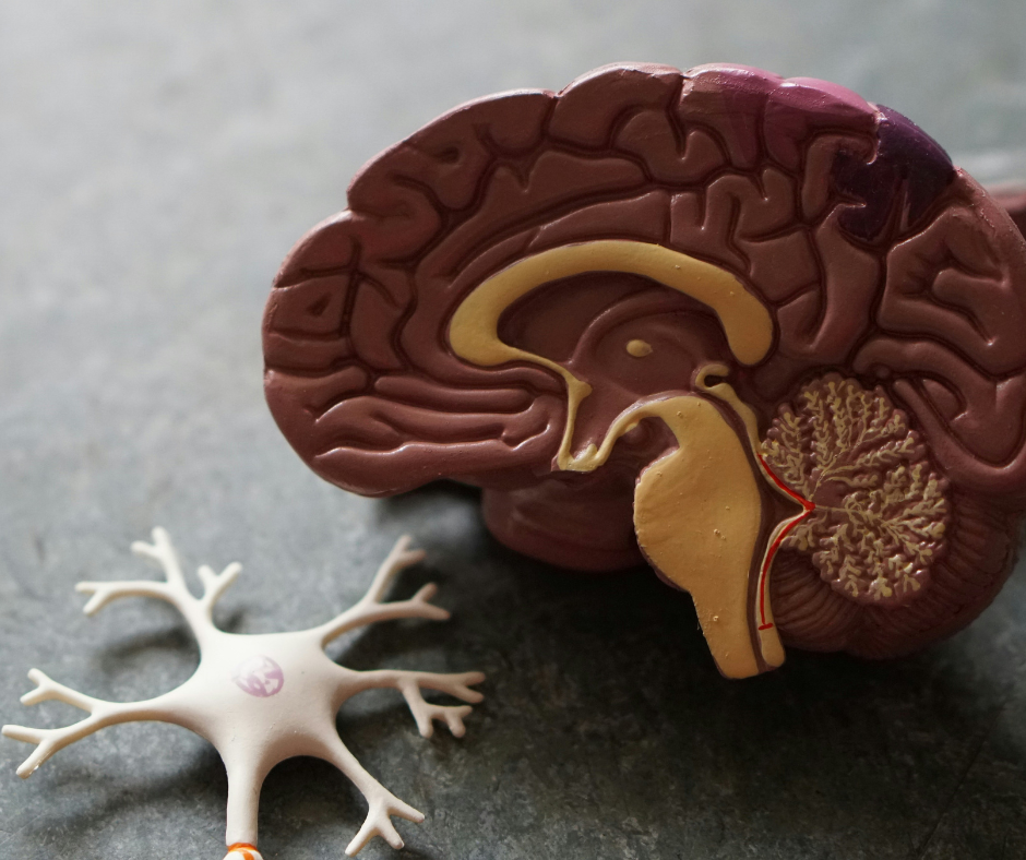 Man and woman seated on a couch with thought bubbles showing different signs of dementia
